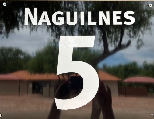 5-Naguilnes